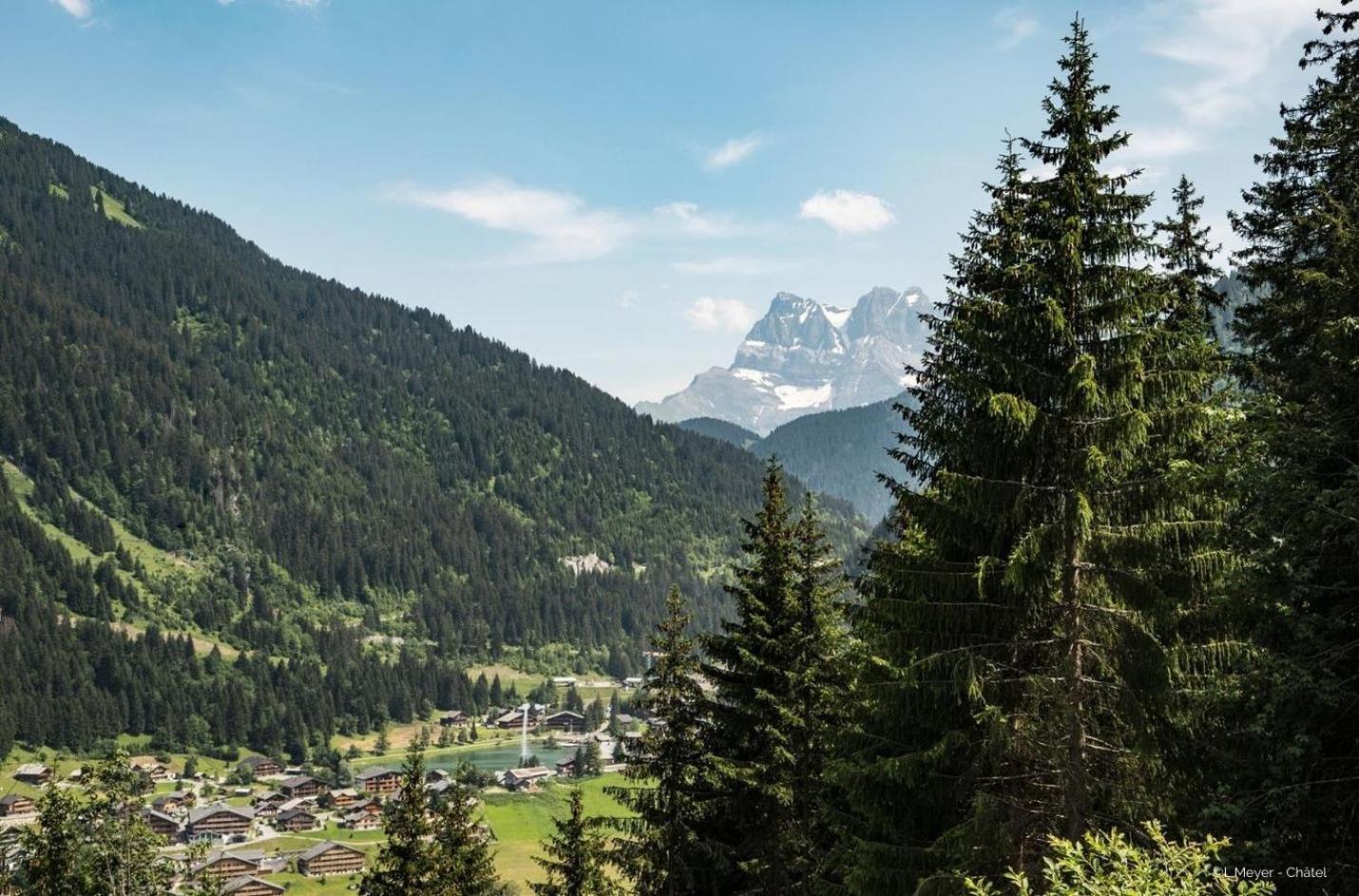 Toison Blanche Tba3 Cosy & Mountain 4 Pers Appartement Châtel Buitenkant foto